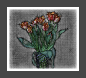 impressionistic rendering of fringed tulip boquet