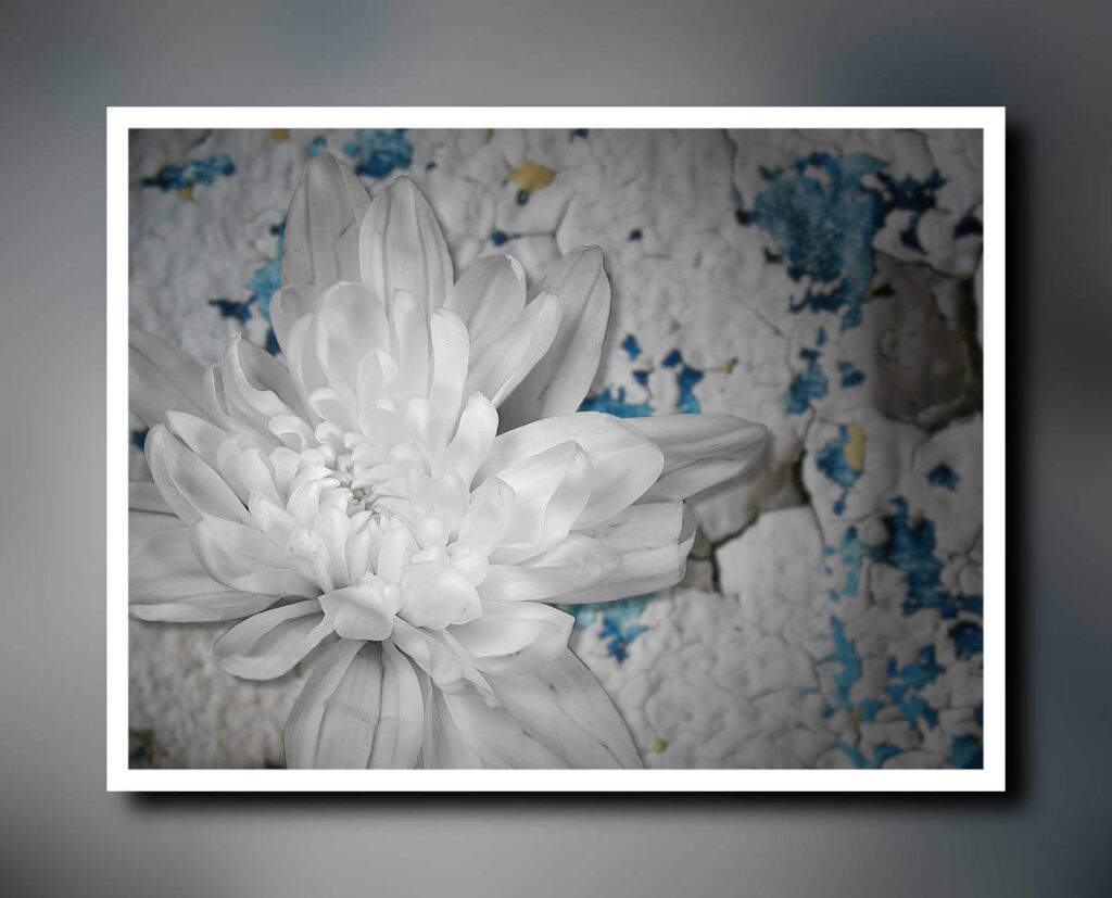 white flower, framed with mottled background