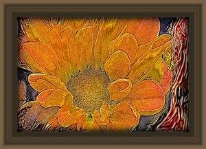 impressionistic rendering of sunflower